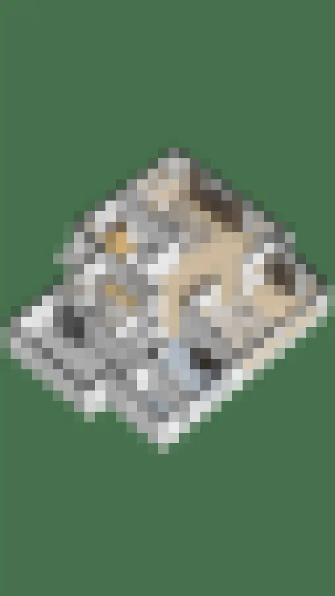 Rietkraag 8 Vlissingen thumbnail 60