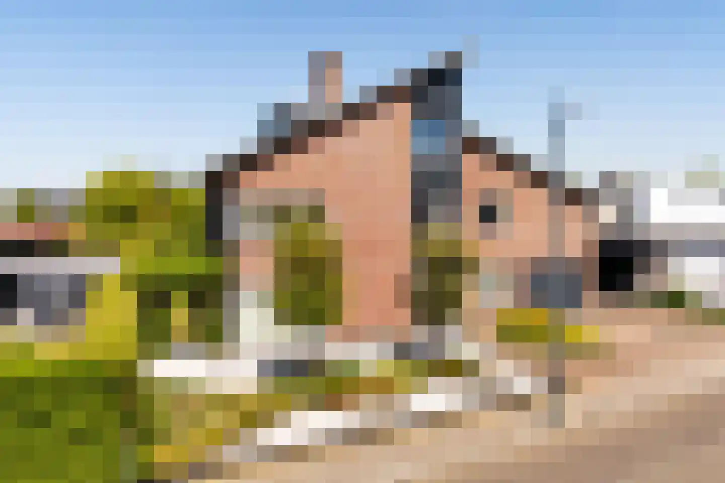 Rietkraag 8 Vlissingen thumbnail 8