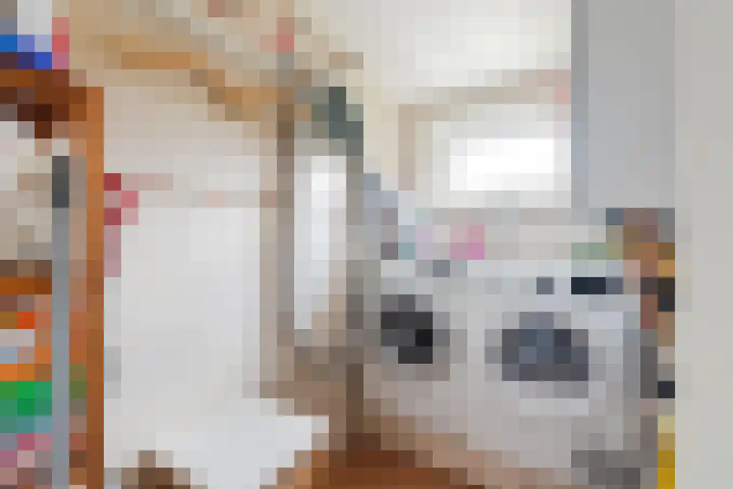 Rietkragge 11 Wilnis thumbnail 17