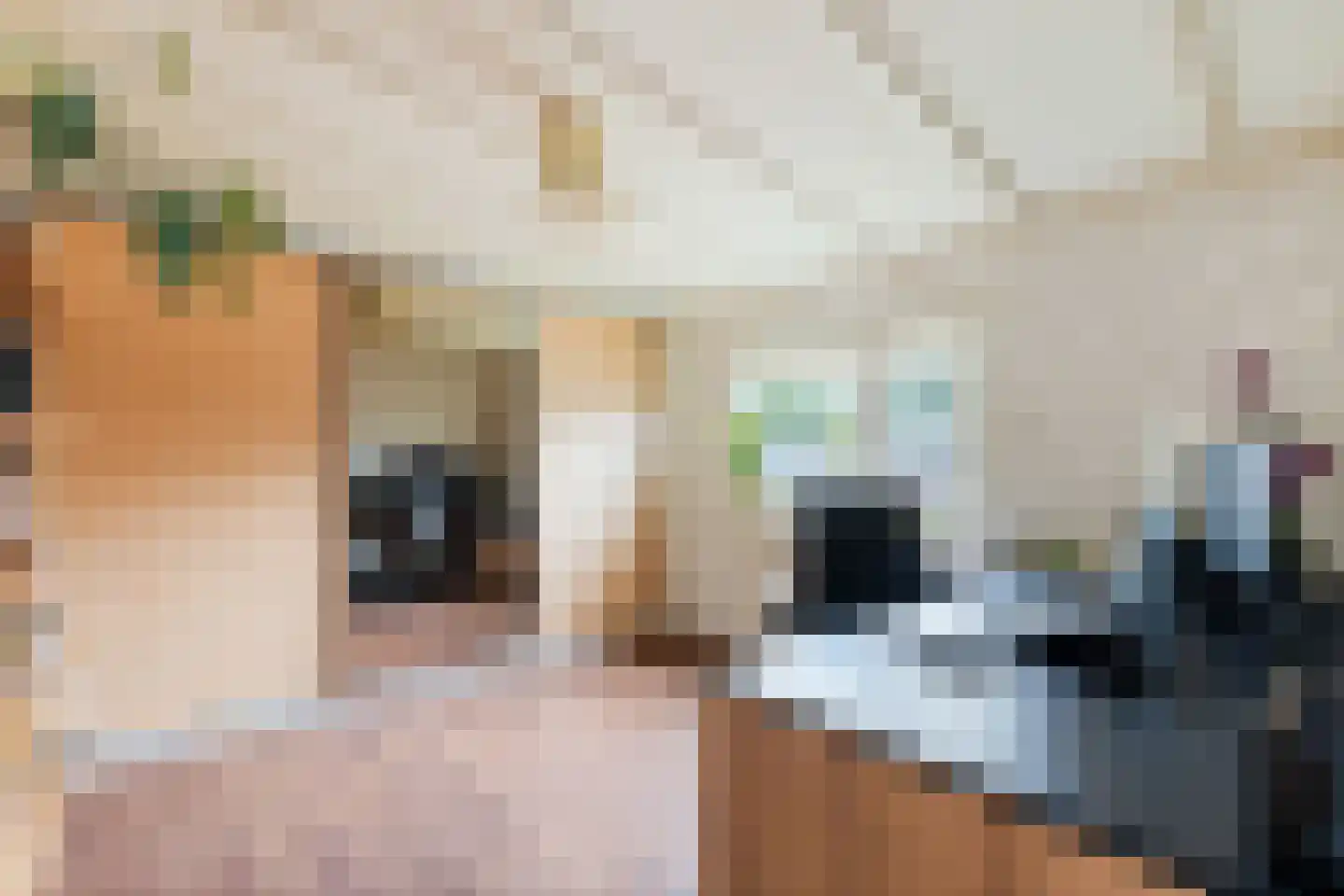 Rietkragge 11 Wilnis thumbnail 18