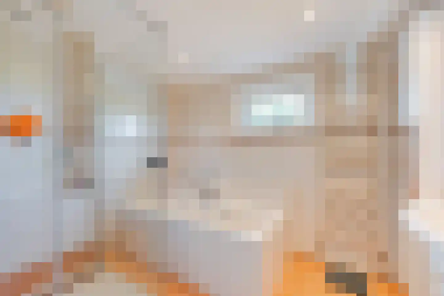 Rietkragge 11 Wilnis thumbnail 25
