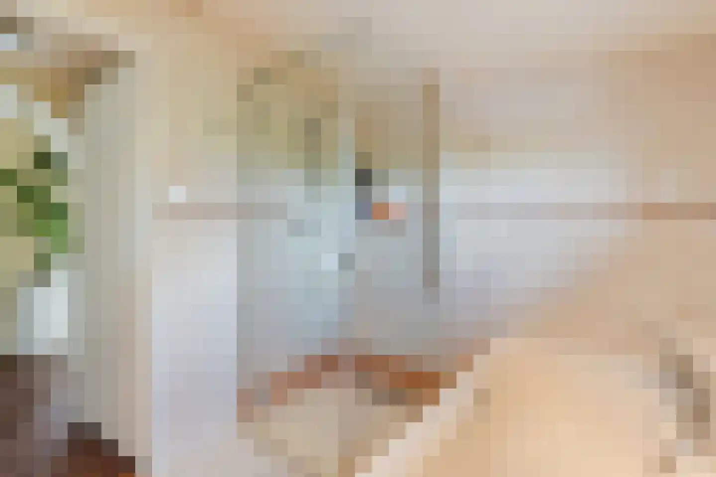 Rietkragge 11 Wilnis thumbnail 26