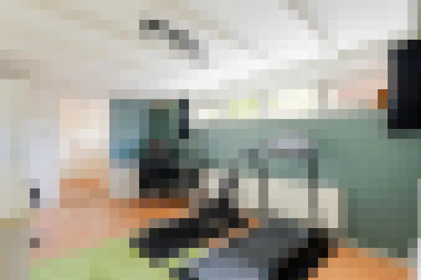 Rietkragge 11 Wilnis thumbnail 31