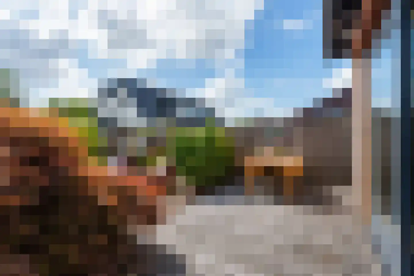 Rietkragge 11 Wilnis thumbnail 36