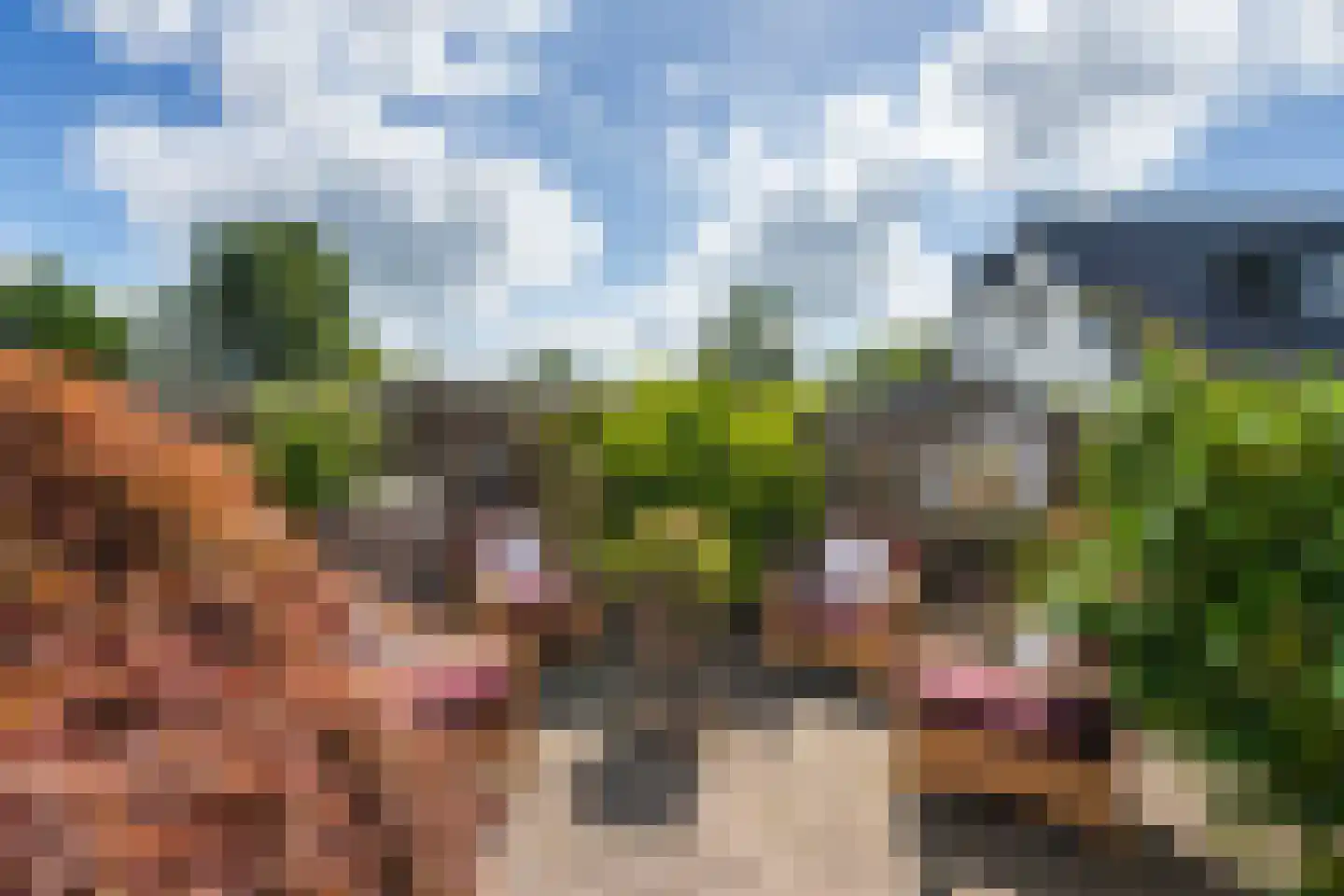 Rietkragge 11 Wilnis thumbnail 37