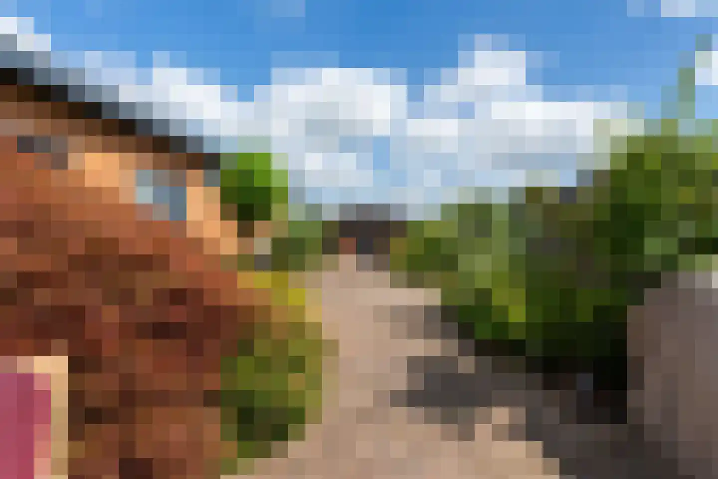 Rietkragge 11 Wilnis thumbnail 38