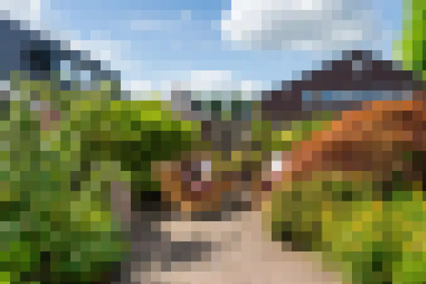 Rietkragge 11 Wilnis thumbnail 39