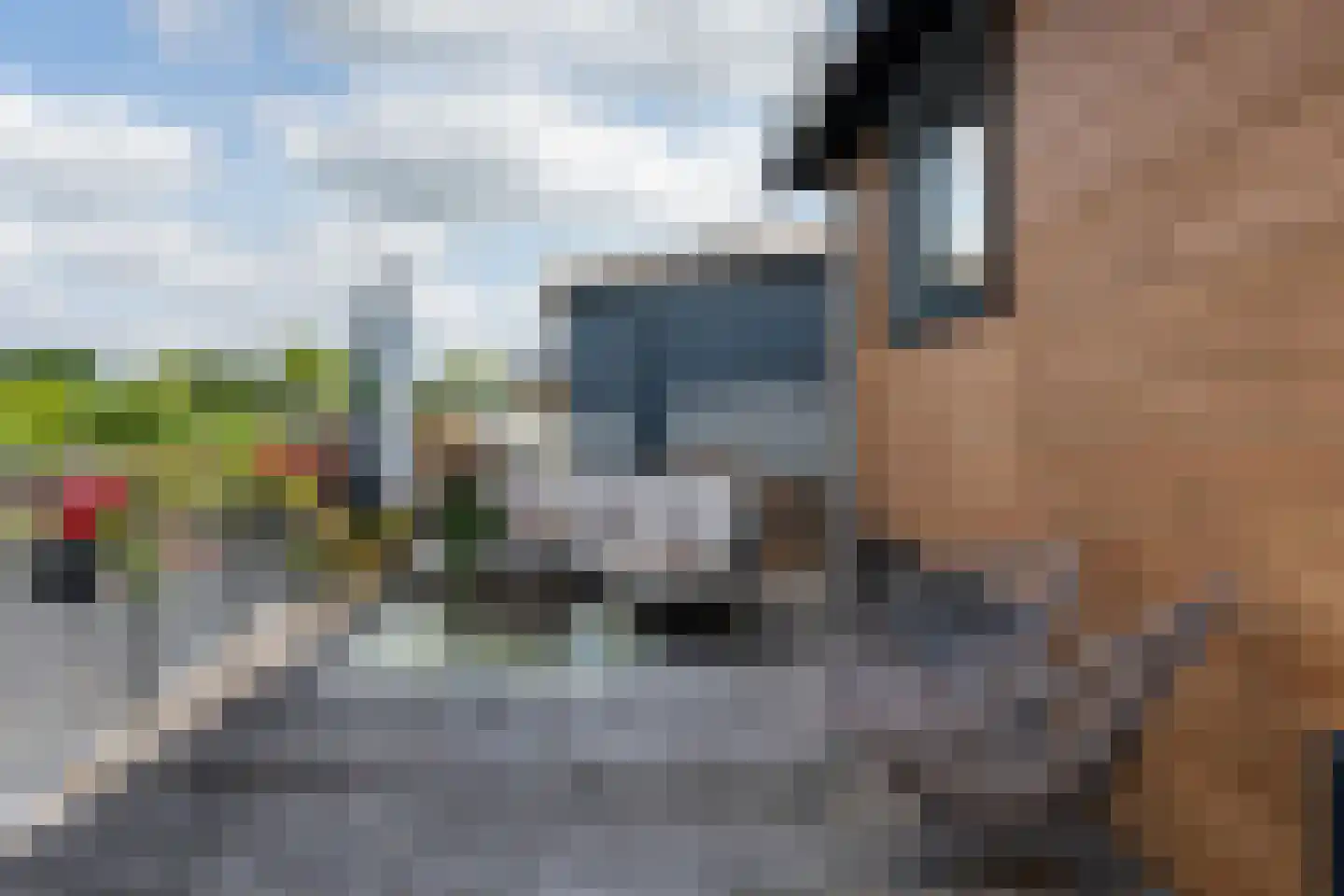 Rietkragge 11 Wilnis thumbnail 41