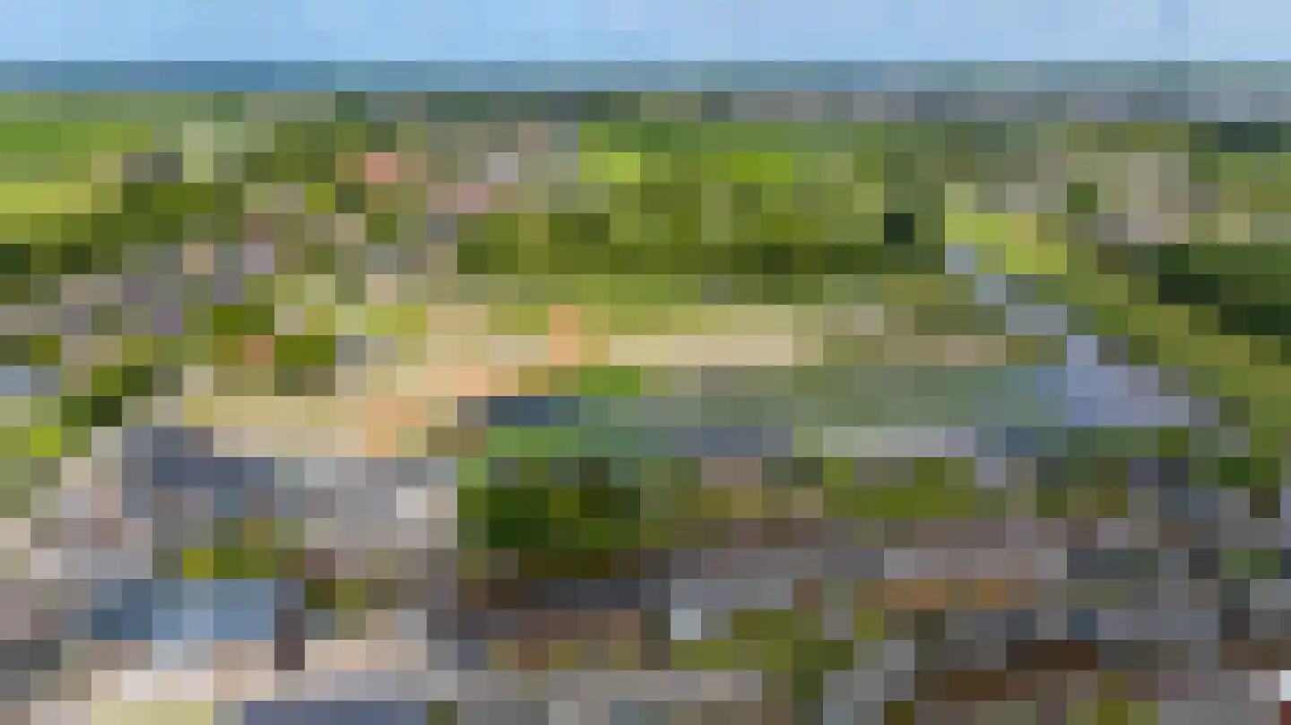 Rietkragge 11 Wilnis thumbnail 46