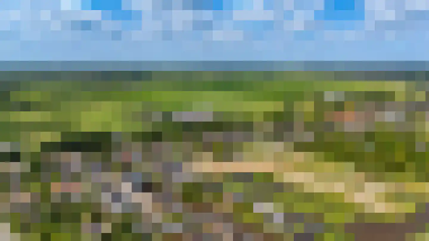Rietkragge 11 Wilnis thumbnail 47
