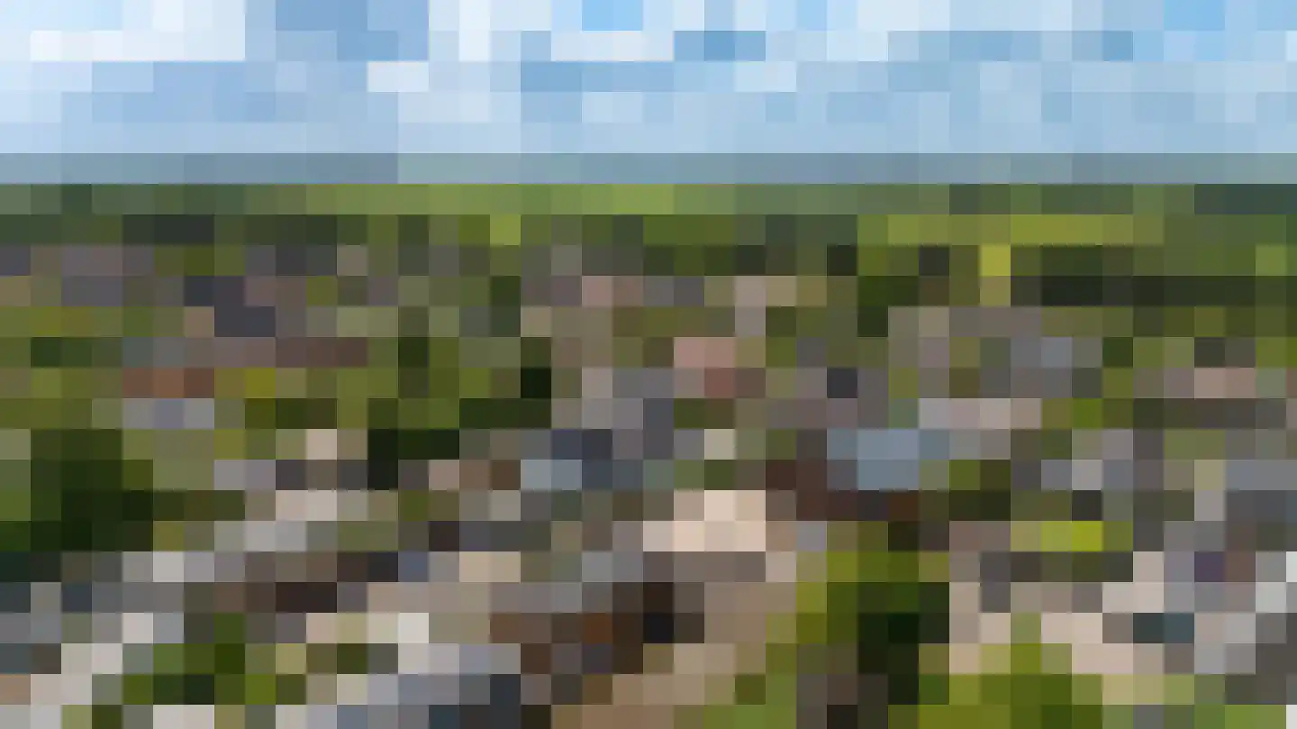 Rietkragge 11 Wilnis thumbnail 48