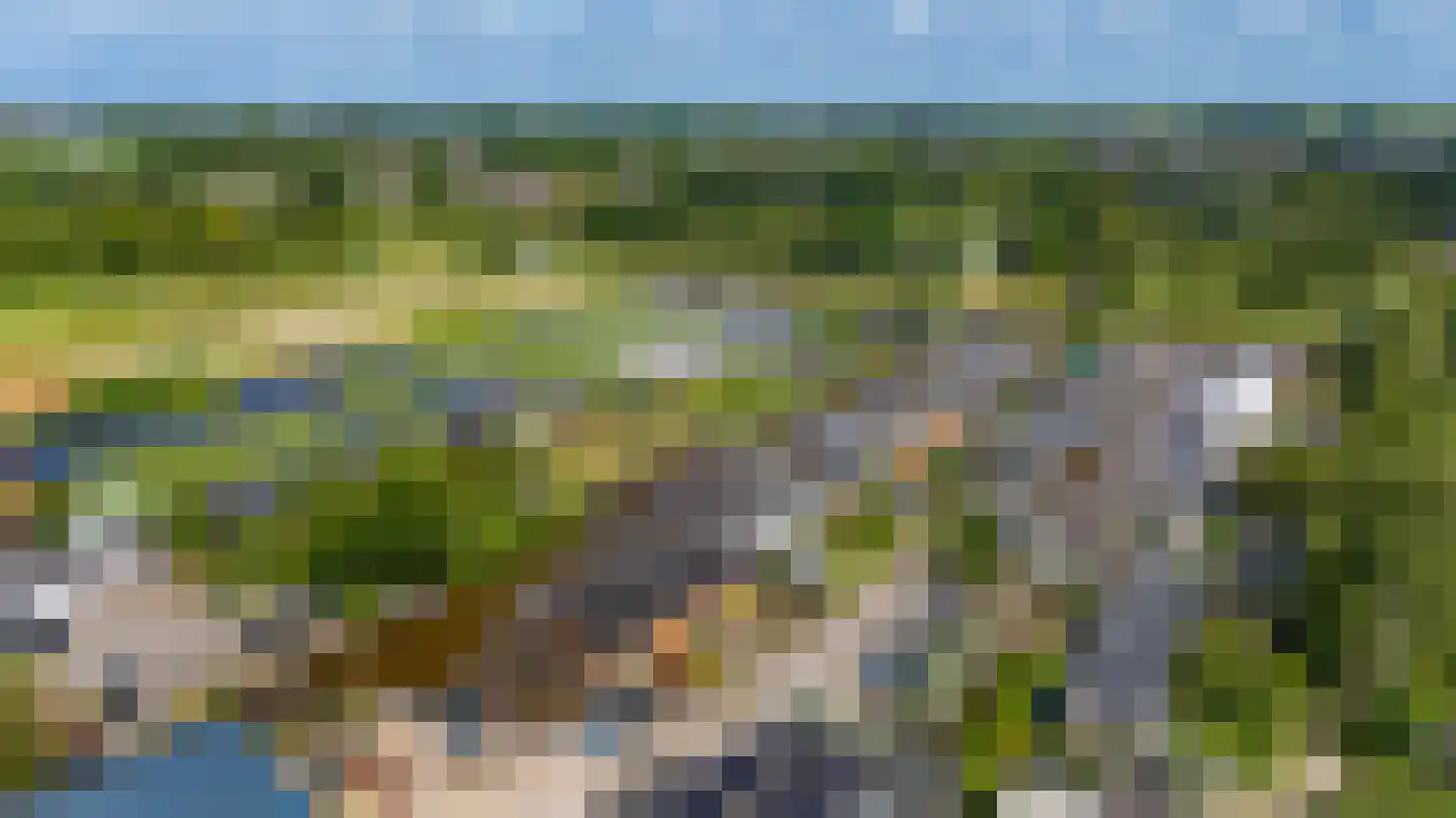 Rietkragge 11 Wilnis thumbnail 49