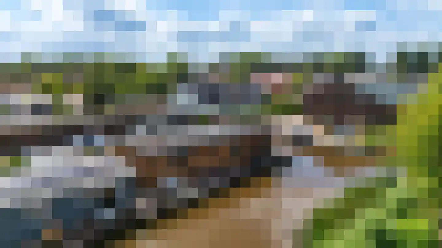 Rietkragge 11 Wilnis thumbnail 50