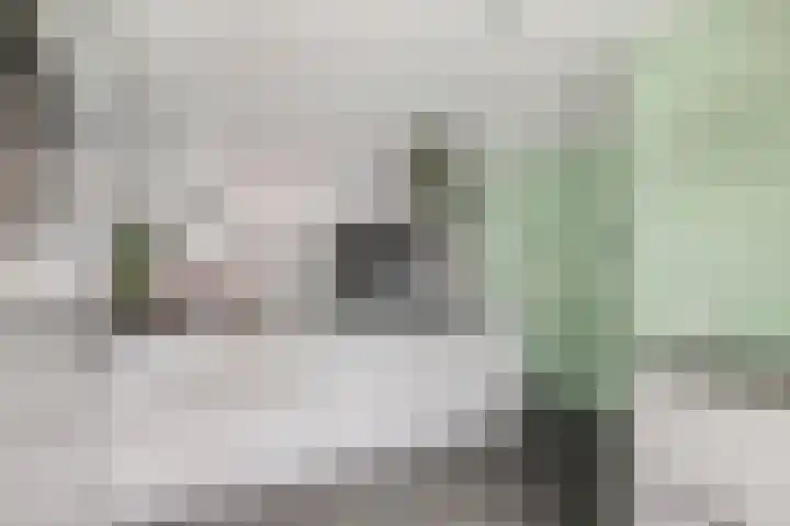 Rietkreek 23 Amersfoort thumbnail 10
