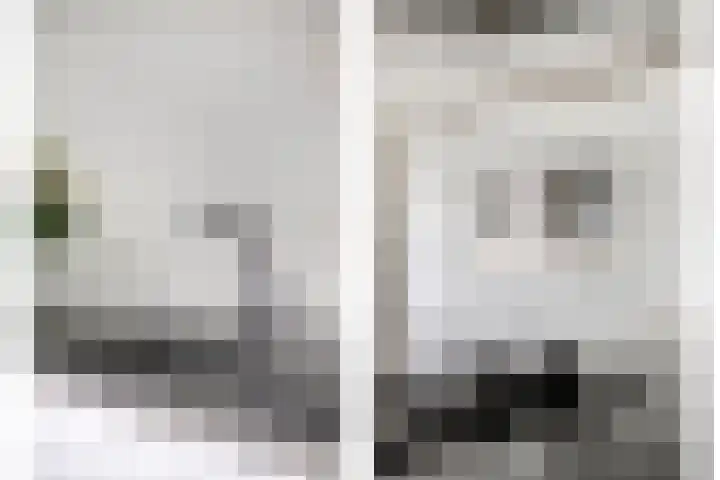 Rietkreek 23 Amersfoort thumbnail 12