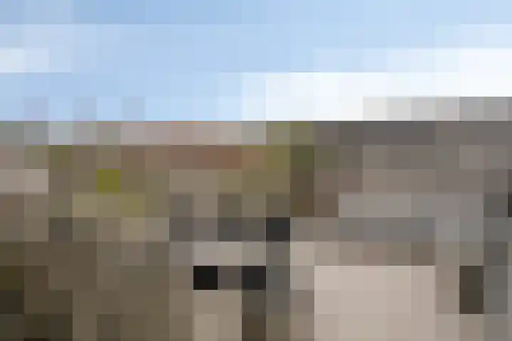 Rietkreek 23 Amersfoort thumbnail 23
