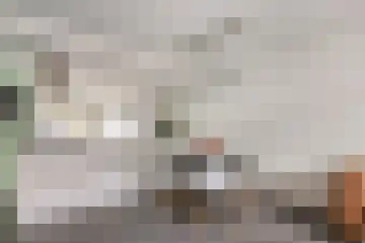 Rietkreek 23 Amersfoort thumbnail 4