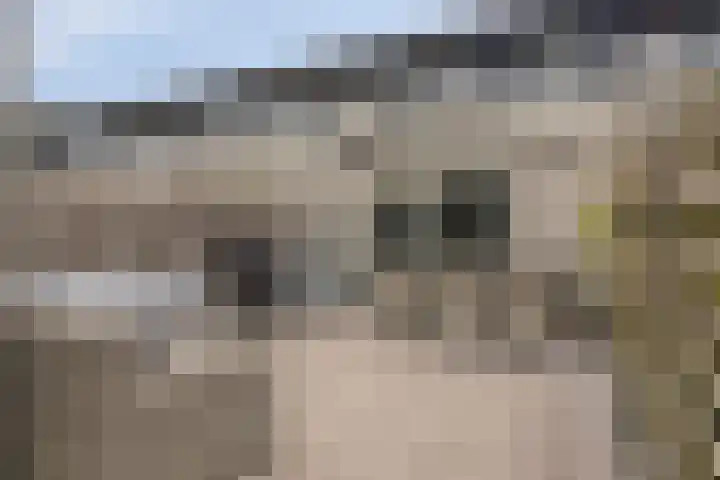 Rietkreek 23 Amersfoort thumbnail 5