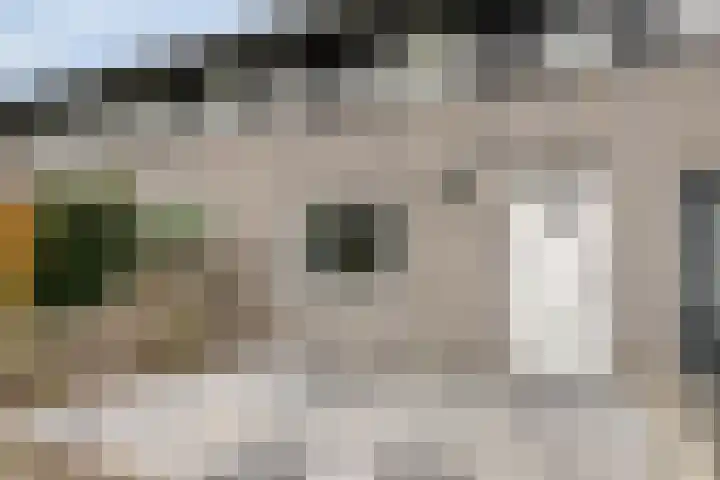 Rietkreek 23 Amersfoort thumbnail 6