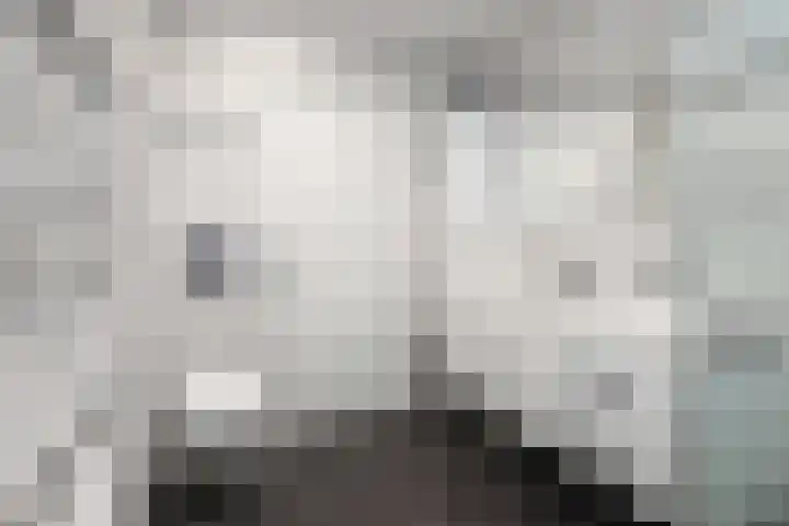Rietkreek 25 Amersfoort thumbnail 20
