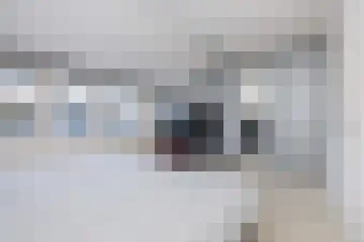 Rietkreek 25 Amersfoort thumbnail 22