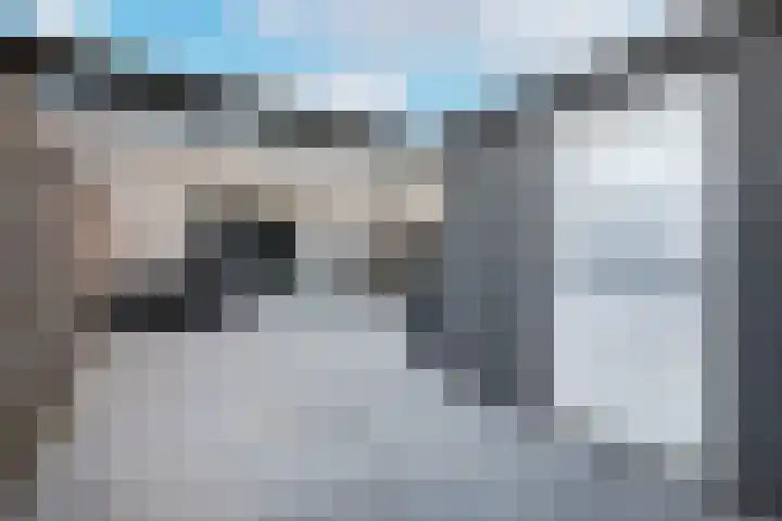 Rietkreek 25 Amersfoort thumbnail 24