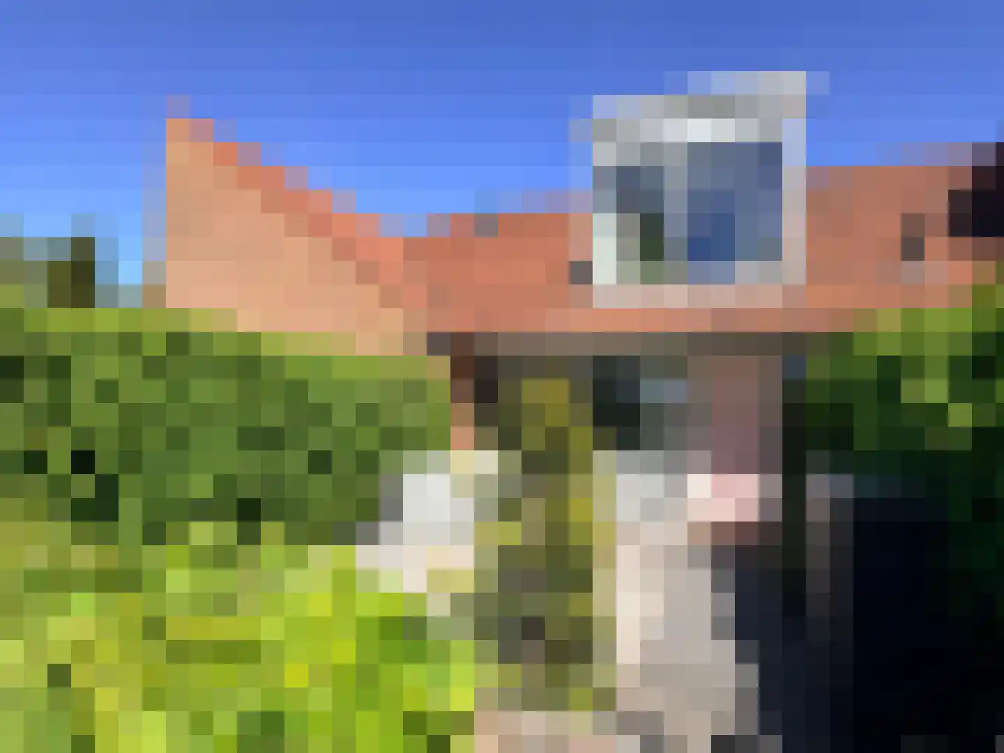 Rietlaan 116 Zeewolde thumbnail 10