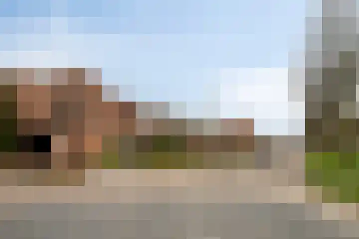 Rietlaan 116 Zeewolde thumbnail 11