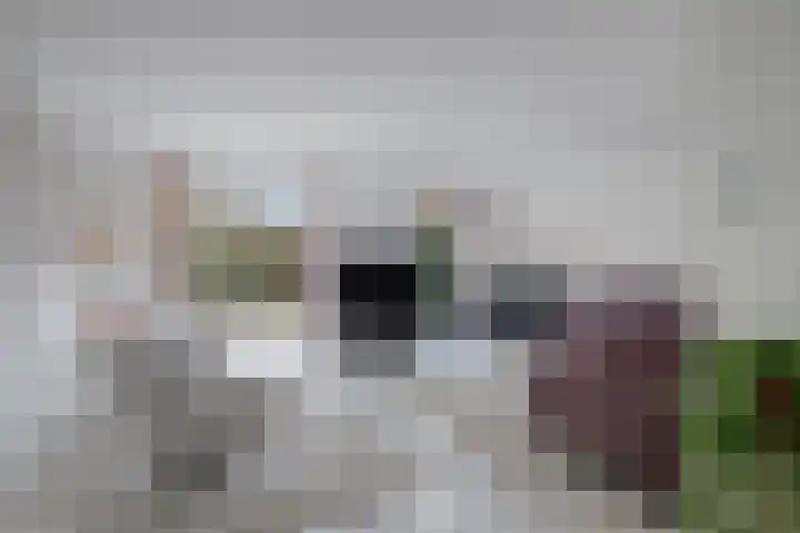 Rietlaan 116 Zeewolde thumbnail 17