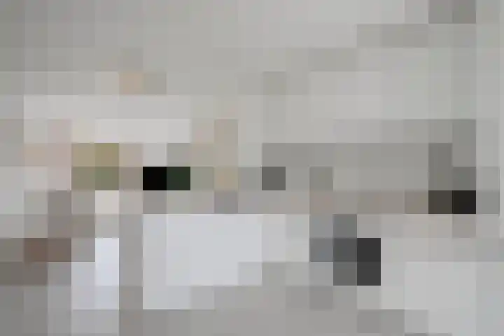 Rietlaan 116 Zeewolde thumbnail 30