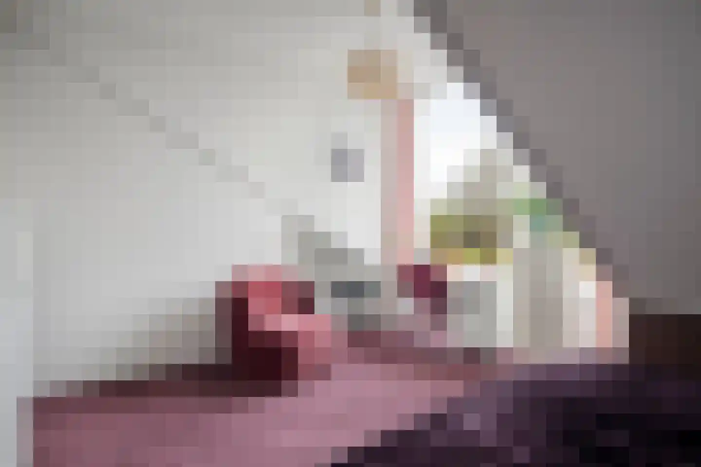 Rietlaan 116 Zeewolde thumbnail 38
