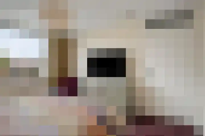 Rietlaan 116 Zeewolde thumbnail 45