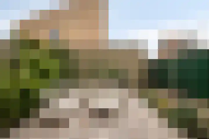 Rietlaan 116 Zeewolde thumbnail 54