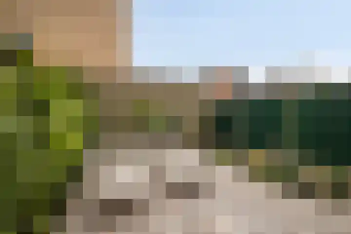 Rietlaan 116 Zeewolde thumbnail 55