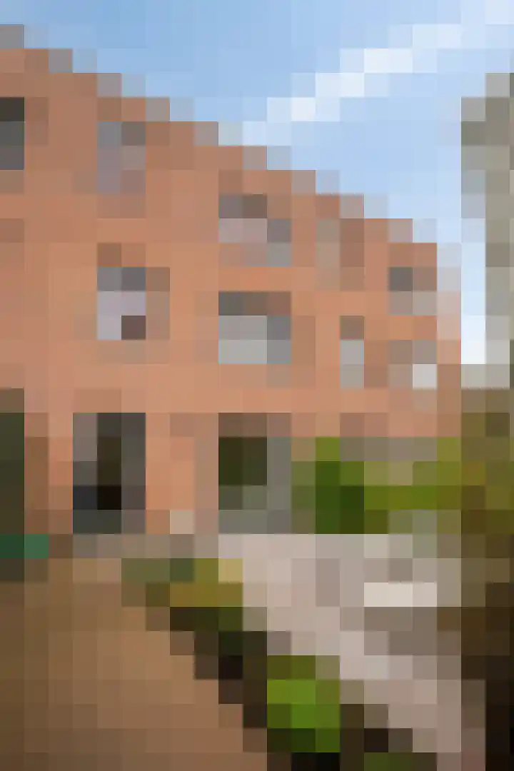Rietlaan 116 Zeewolde thumbnail 57