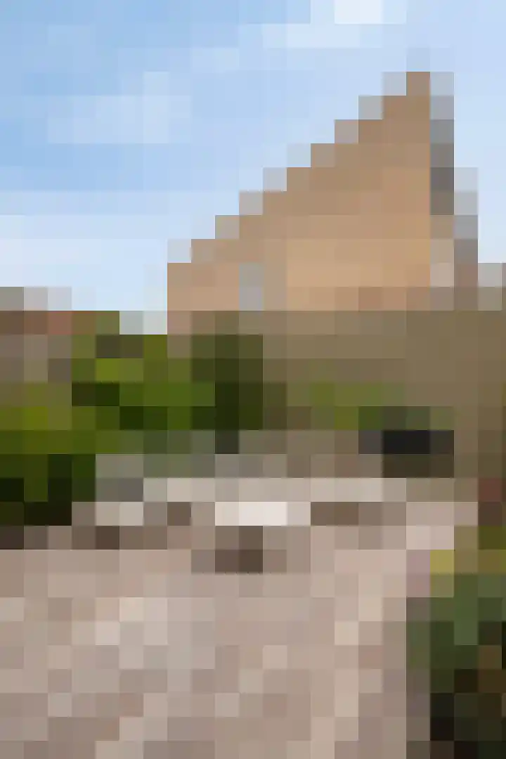 Rietlaan 116 Zeewolde thumbnail 58