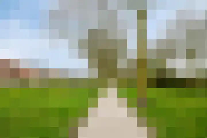 Rietlaan 116 Zeewolde thumbnail 8