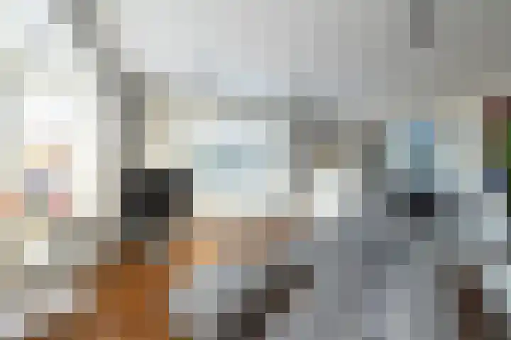 Rietlaan 14 Ermelo thumbnail 11