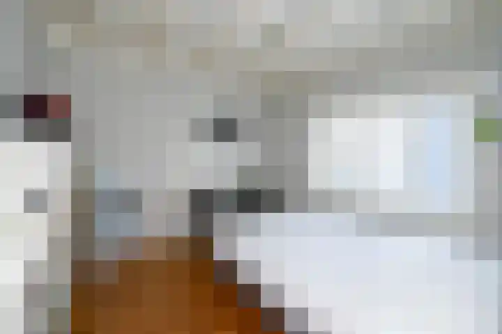 Rietlaan 14 Ermelo thumbnail 23
