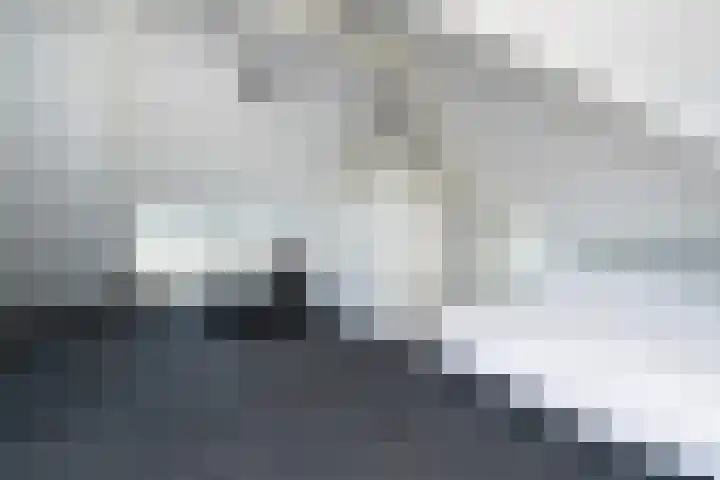 Rietlaan 14 Ermelo thumbnail 38