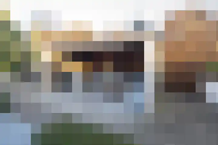 Rietlaan 14 Ermelo thumbnail 50