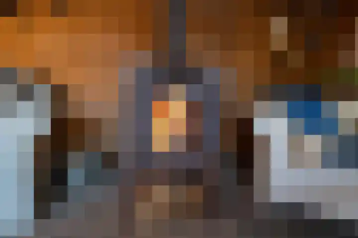 Rietlaan 14 Ermelo thumbnail 52