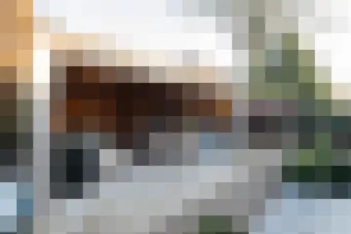 Rietlaan 14 Ermelo thumbnail 53