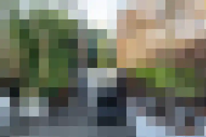 Rietlaan 14 Ermelo thumbnail 54