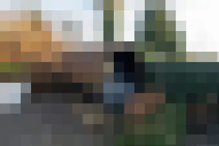 Rietlaan 14 Ermelo thumbnail 55