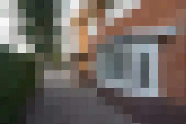 Rietlaan 14 Ermelo thumbnail 61