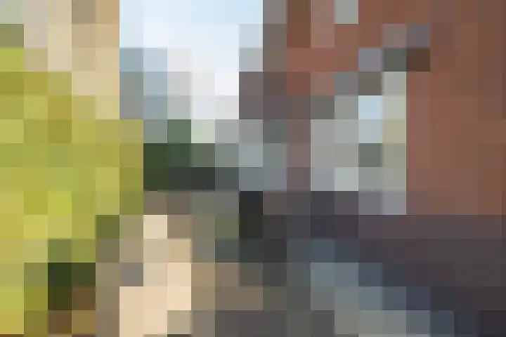 Rietlaan 14 Ermelo thumbnail 65