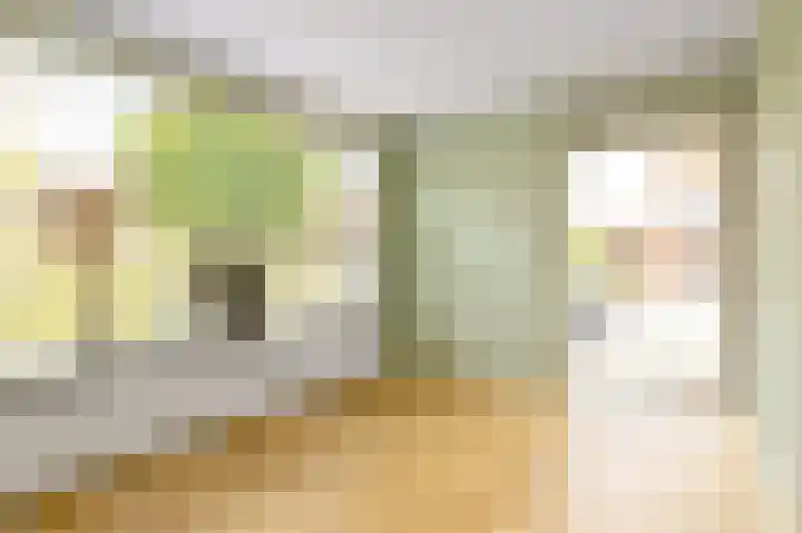 Rietlaan 26 Zeewolde thumbnail 18