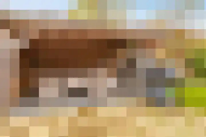 Rietlaan 26 Zeewolde thumbnail 38