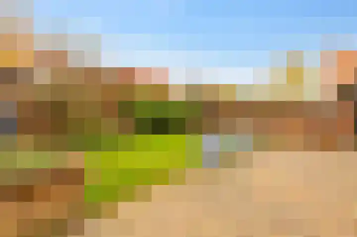 Rietlaan 26 Zeewolde thumbnail 40